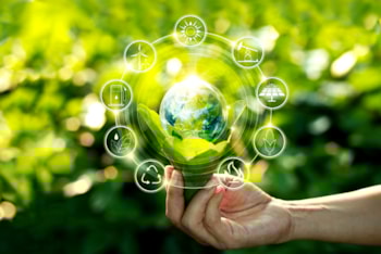 Other Services Offered